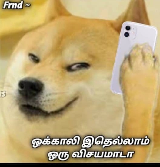 AshwadhJ's tweet photo. @minnalmurali_ Meanwhile Vamshi naa preparing some serial script for vijay na https://t.co/EHRVlpJN6F
