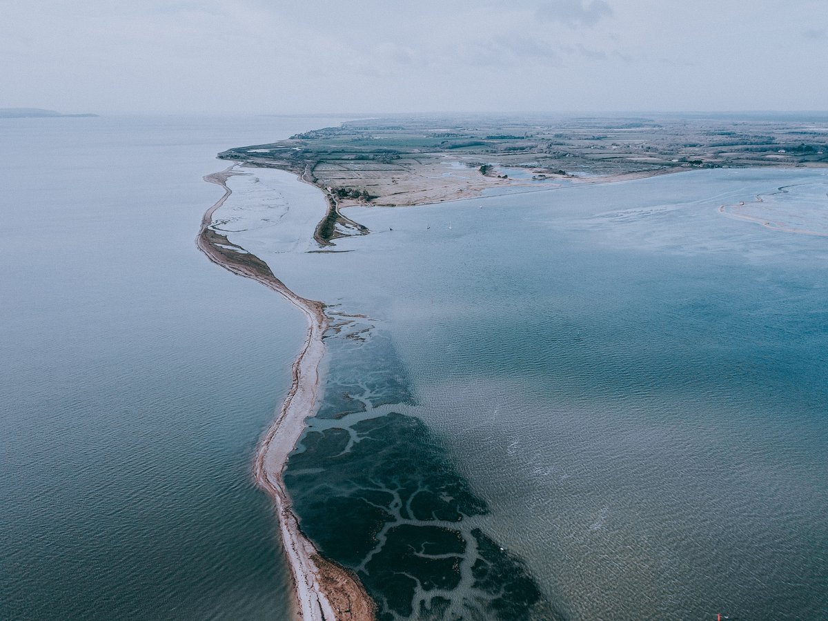 CF_Conf's tweet photo. Job opportunity: Environmental Reporting Scientist (3 vacancies) | Gardline | Full details here: https://t.co/hsZ7oAX6Qw | #CoastJob #MarineJob #WaterJob #CMS #OceanJob #OffshoreIndustry | Sign up for job alerts here: https://t.co/JZw6uSjivn https://t.co/RbRwX7LIsa