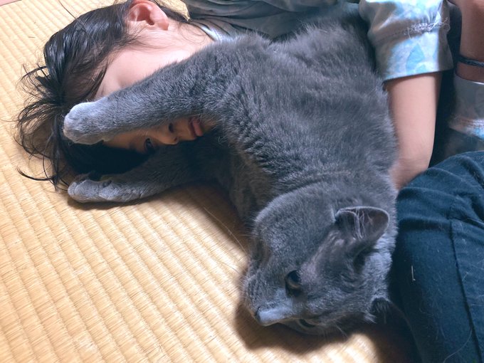 Twitterのコスプレ画像4