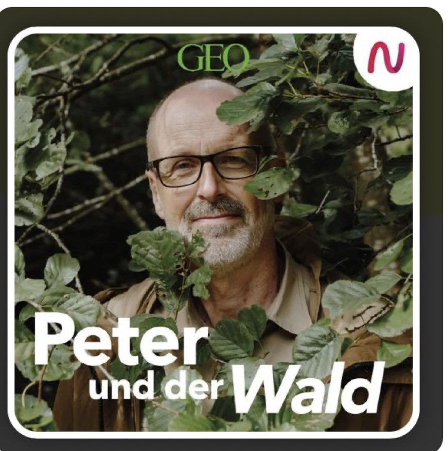 Sollen wir mehr mit Holz bauen? Sind Stahl und Beton Out? Sind nicht eher Umbau und Recycling angesagt? In dieser Folge treffe ich die Bauingenieurin und Mitglied des Club of Rome Prof. Lamia Messari-Becker.

wohllebens-waldakademie.de/podcast