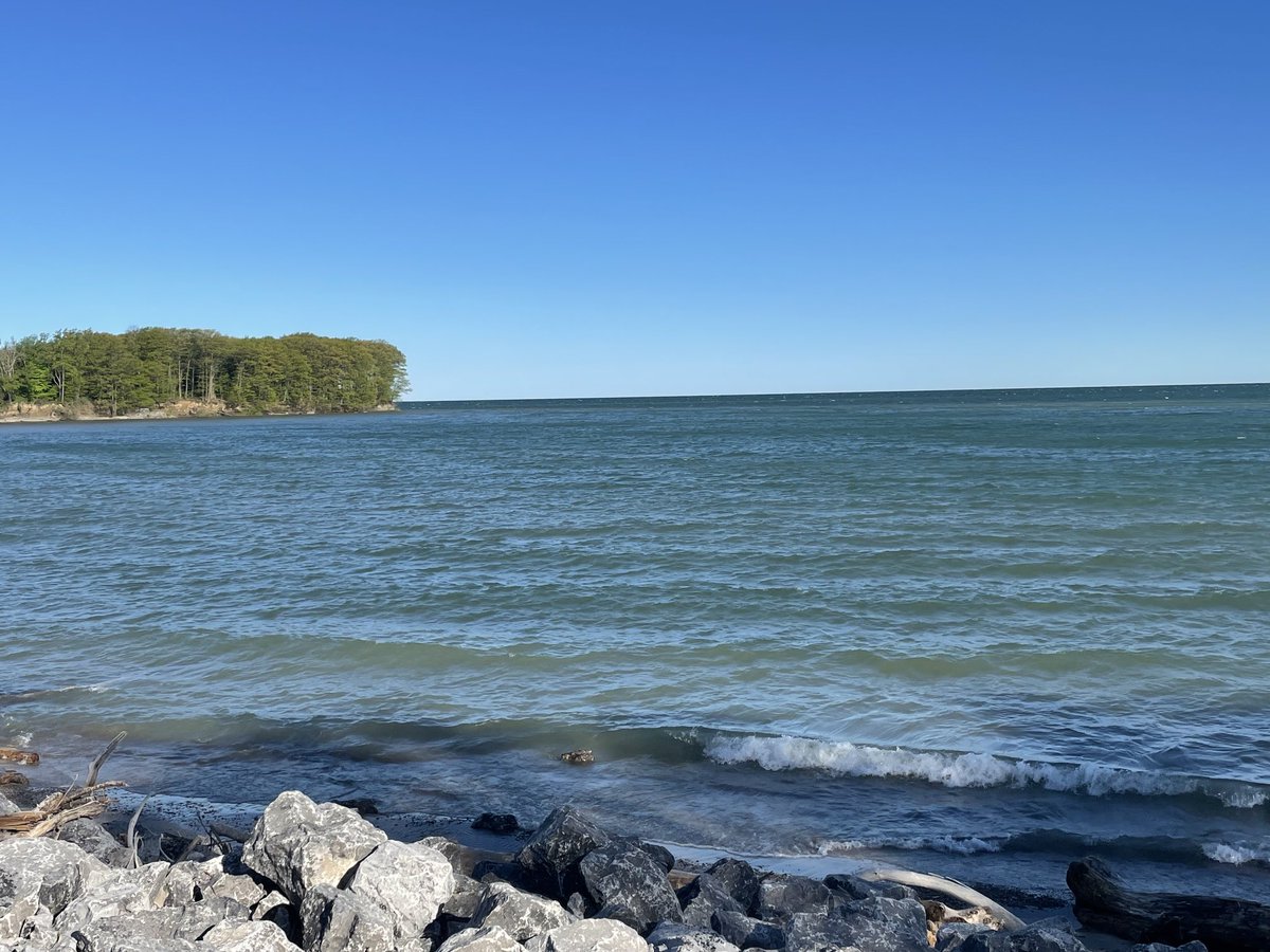 David Kinkela tweet media