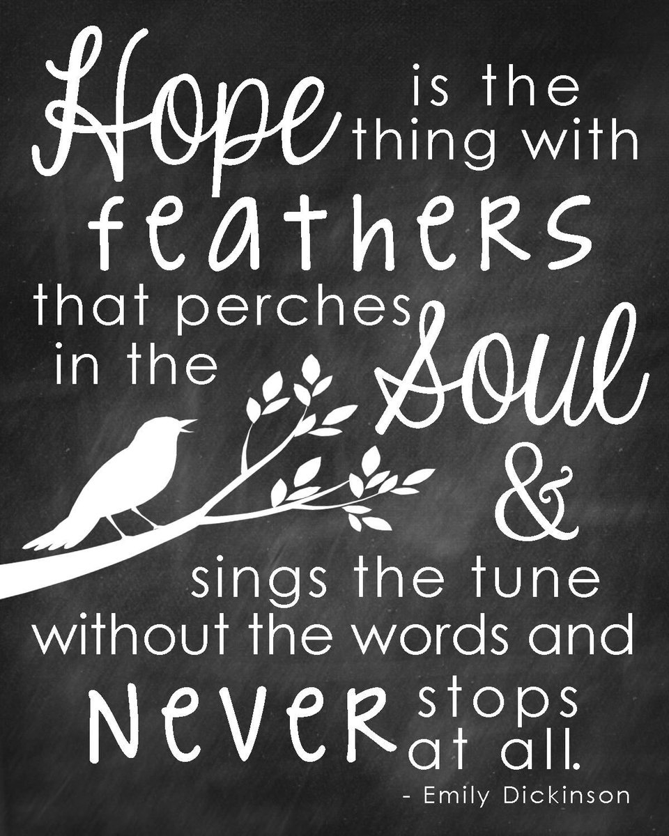 HopeOhva's tweet photo. Such a beautiful description of hope. Have you ever experienced this - had song in your soul that kept you going? I hope so. 
#ohvahopeandkindness https://t.co/QNT24cAbpw