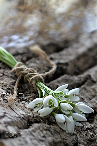 I do not wish women to have power over men, but over themselves.

🖋️Mary Wollstonecraft (1759-97)
(A Vindication Of The Rights Of Women 1792)

#MyBloomingWords #Power #WomensRights