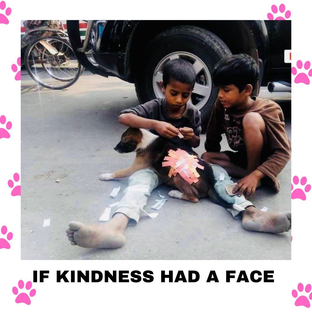 pfaindia's tweet photo. Comment down below and tell us what do you think? 

#kindness #teachyoung #mercy #compassion #animals #animallovers #animalkingdom #animalwelfare #explore #trending https://t.co/7WJwzIPqRk