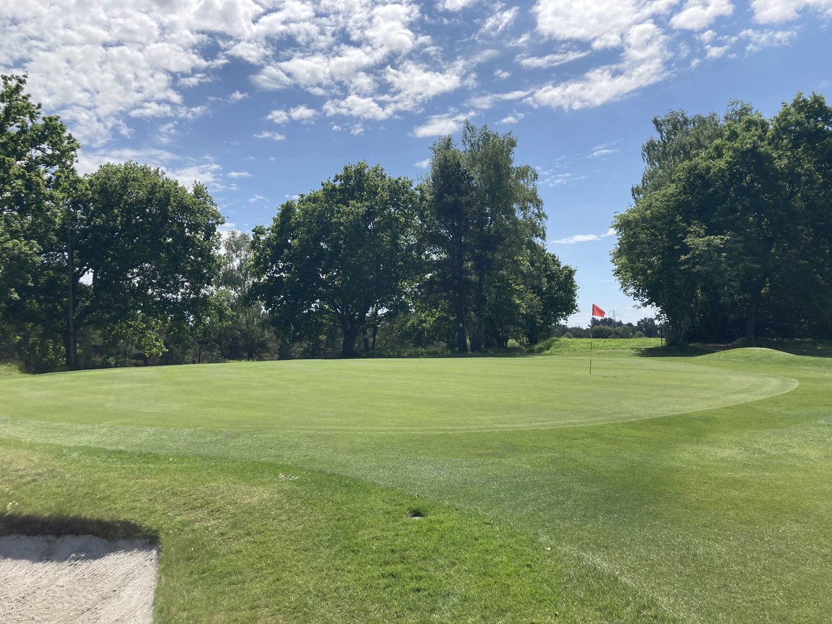 Graham Hastie (@grazztec) on Twitter photo Another beaut of a day here <a href="/KnightonHeathG/">Knighton Heath Golf</a> Greens continuing to improve as golfing season hots up Another beaut of a day here <a href="/KnightonHeathG/">Knighton Heath Golf</a> Greens continuing to improve as golfing season hots up