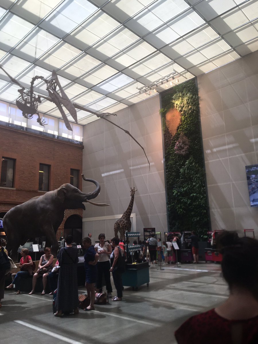 APDEN Toulouse (@apdentoulouse) on Twitter photo Et nous voilà au <a href="/museumtoulouse/">Muséum de Toulouse</a> pour la suite de la JO où nous sommes accueillis par Mathieu Janet pour une visite de la bibliothèque et de la collection! Et nous voilà au <a href="/museumtoulouse/">Muséum de Toulouse</a> pour la suite de la JO où nous sommes accueillis par Mathieu Janet pour une visite de la bibliothèque et de la collection!