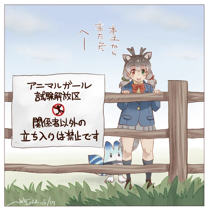 立ち入り禁止だけど会話はできるくらいの距離感でトナカイちゃんとお友達になりたい 