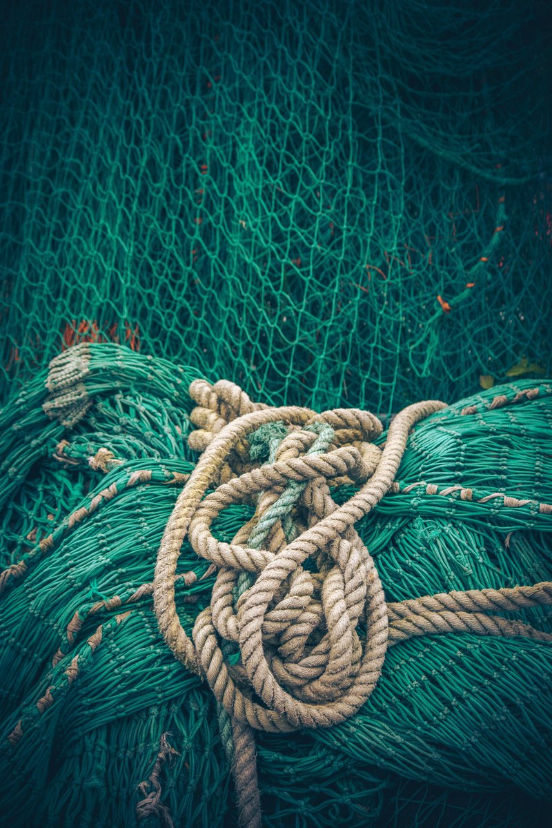CF_Conf's tweet photo. Job opportunity: Marine Science Officer | Eastern IFCA |  Full details here: https://t.co/HXOjYvgMLk | #CoastJob #MarineJob #WaterJob #CMS #OceanJob #Fisheries | Sign up for job alerts here: https://t.co/JZw6uS1HDP https://t.co/YTWRsYLjQj