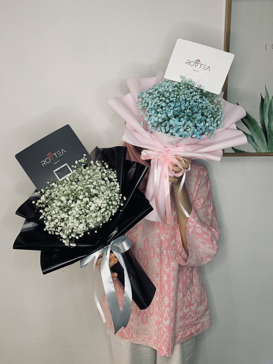 rovteas's tweet photo. Korang suka baby breath warna apa? Cer comment kat bawah 😍 https://t.co/3r73mr01Lm