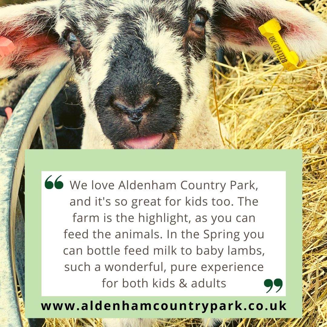 What's your favourite thing to do when you visit Aldenham Country Park? 

#lambbottlefeeding #100akerwood #goats #pigs #naturetrails #lakewalks