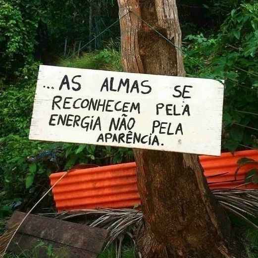 filosofeiversos's tweet photo. https://t.co/FTQKGC8hEV
