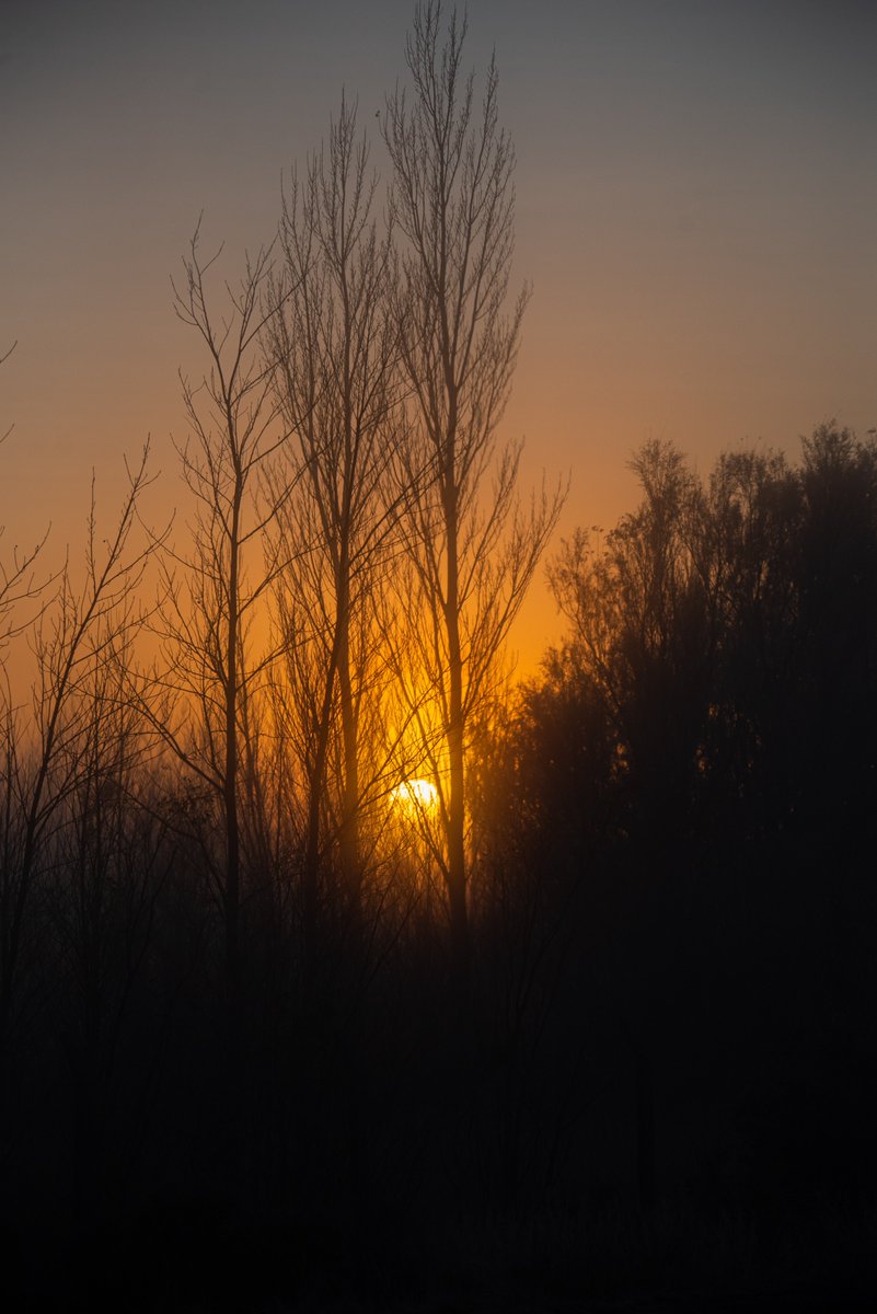 geresbaraibar's tweet photo. Así se veía el valle a la salida del sol.
La neblina, el filtro justo para las fotos https://t.co/zMzSMIch2W