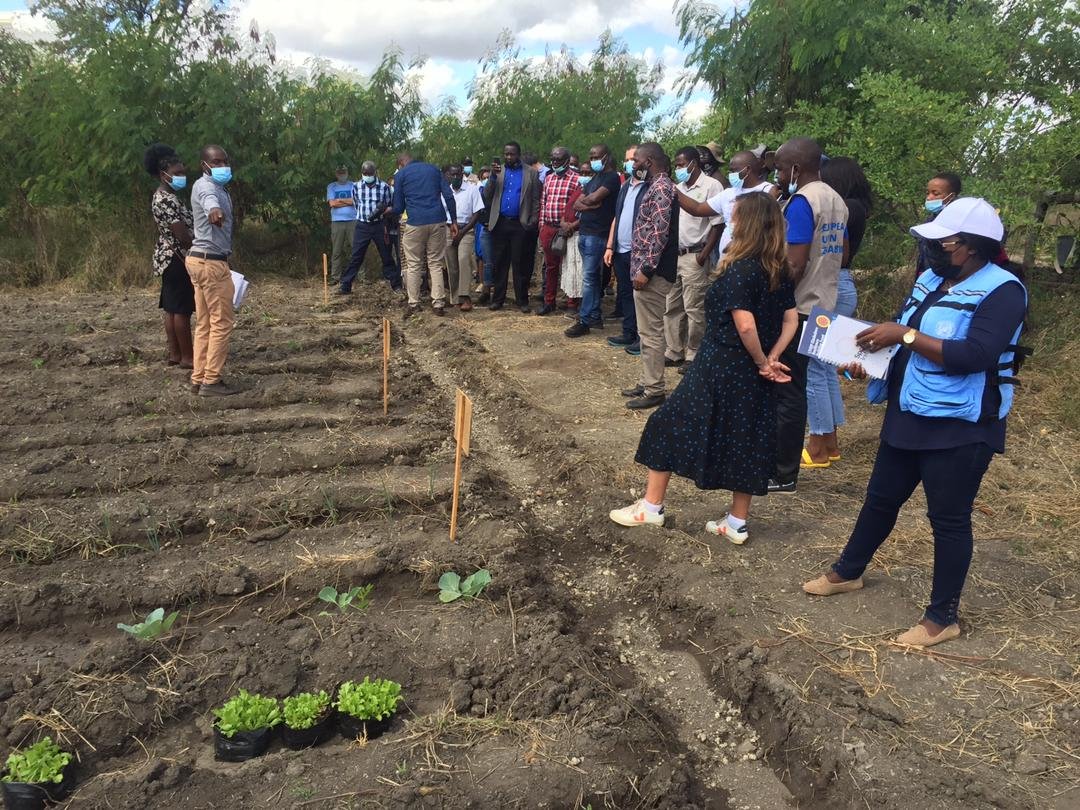 CAREZimbabwe's tweet photo. Officer Mashamba, a youth entrepreneur from Chiredzi practicing horticulture shares his testimony on his journey with @ZRBFZIM #ECRASProject how he has made US$4000 from the 2.6ha plot where he grows his horticulture crops in the last year.
πΈ@nmcvivian https://t.co/ni9DYFvmaI
