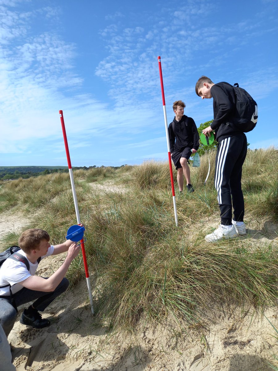 BoswellsGeo's tweet photo. Studland Bay for some sand dune fieldwork this morning. https://t.co/NYbz6zgmsR