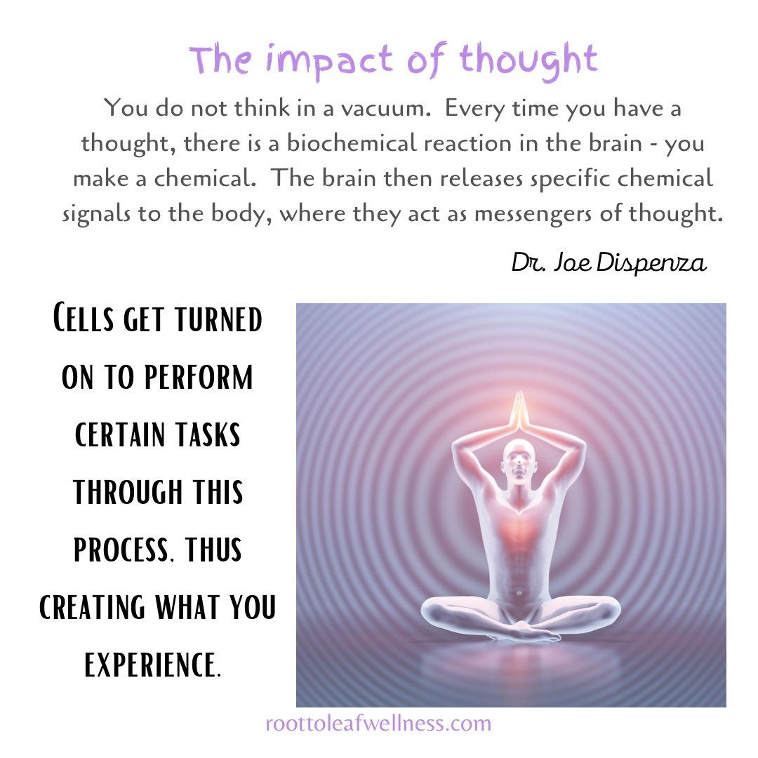 MeredithLNO's tweet photo. Thoughts have real, measurable effects on your body. When you have a stressful or angry thought, your body responds.

#thoughtshavepower #thoughtsbecomethings #thoughtsmatter #fightorflight #stress #diseasebeginsinthegut #gut #guthealth #digestion #nutrients https://t.co/5Hm5dYQX2n