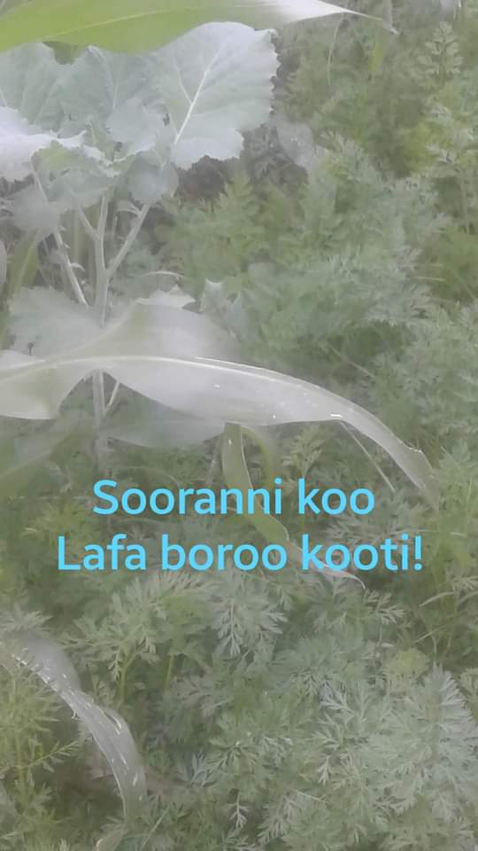 Teshome17Beza's tweet photo. https://t.co/7g6f8syKMD