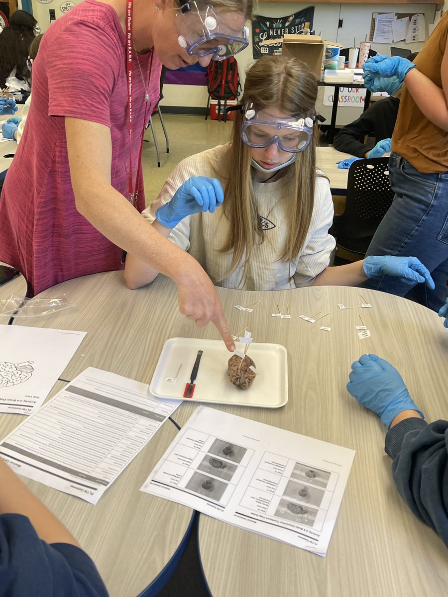 NPSGifted's tweet photo. Checking out the Medical Detectives pilot pathway this morning @RotonMS_NPS The brain dissection hands-on learning experience was extremely engaging @robpennington9 @aestrel3 @NorwalkPS @PLTWorg #medicalpathway #handsonlearning #rigor https://t.co/jS4qwUkXvz
