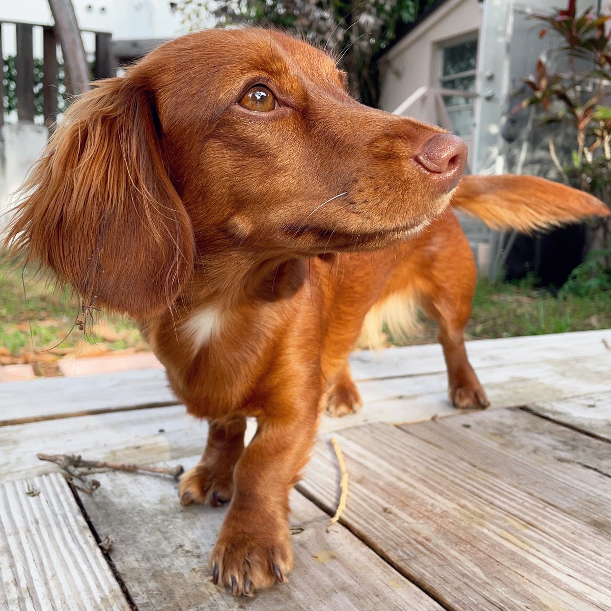 ready to take on the day