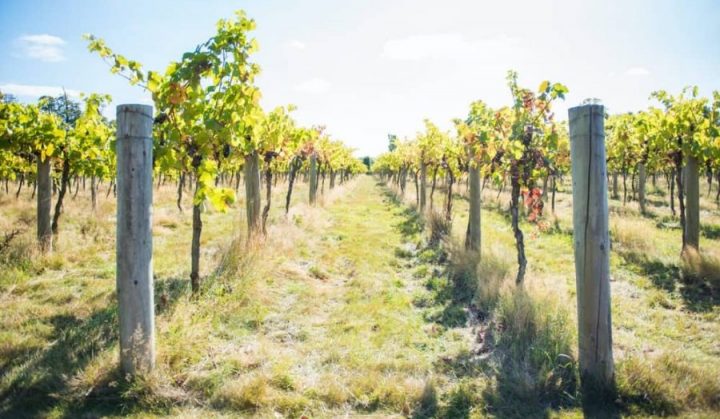 Sunday 5th June 5.30pm, Hurst Platinum jubilee sponsors  <a href="/stanlakepark/">Stanlake Park Wine Estate</a>  will be offering a free wine tour for residents who obtain a ticket from the wine stall Natalia and staff will be running on Saturday 4th June at the music concert.hurst-jubilee.co.uk/jubilee-concer…