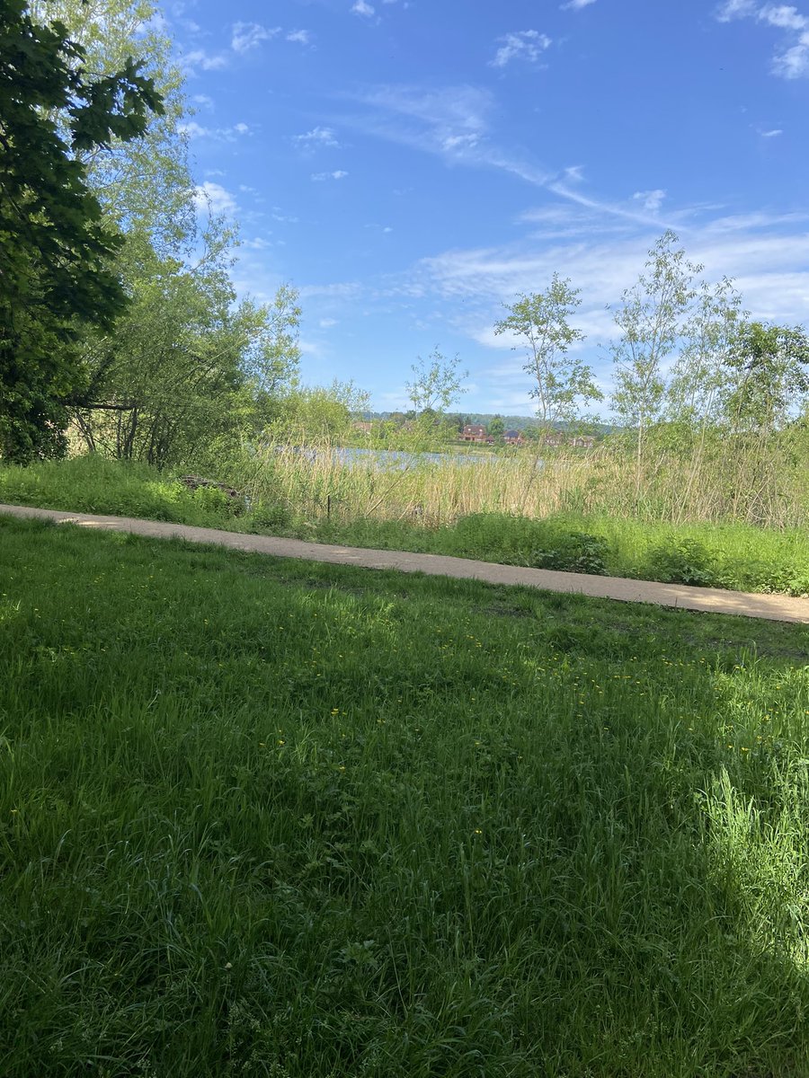 BiscoesCivil's tweet photo. Lovely lunchtime walk around Petersfield lake with the dog, while listening to an audiobook one benefit for working in Petersfield! Nice to get a break and recharge #timeout #MakeTime4BreakTime https://t.co/sFmFrPXdXc