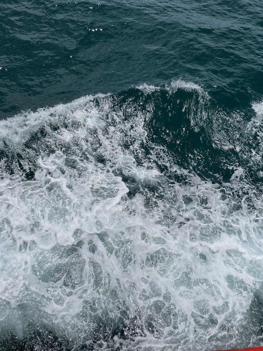 ihavenoplann's tweet photo. Otw/ samui #samui #ihavenoplans 💦 https://t.co/42Om0hl9Vy