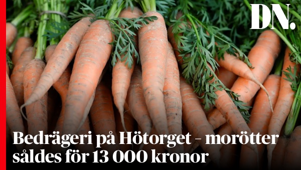 DN_Sthlm's tweet photo. Bedrägerier på Hötorget avslöjade: Ett knippe morötter såldes för 13 000 kronor.
https://t.co/VPYTFA6u3a https://t.co/CMBxj0hZKL