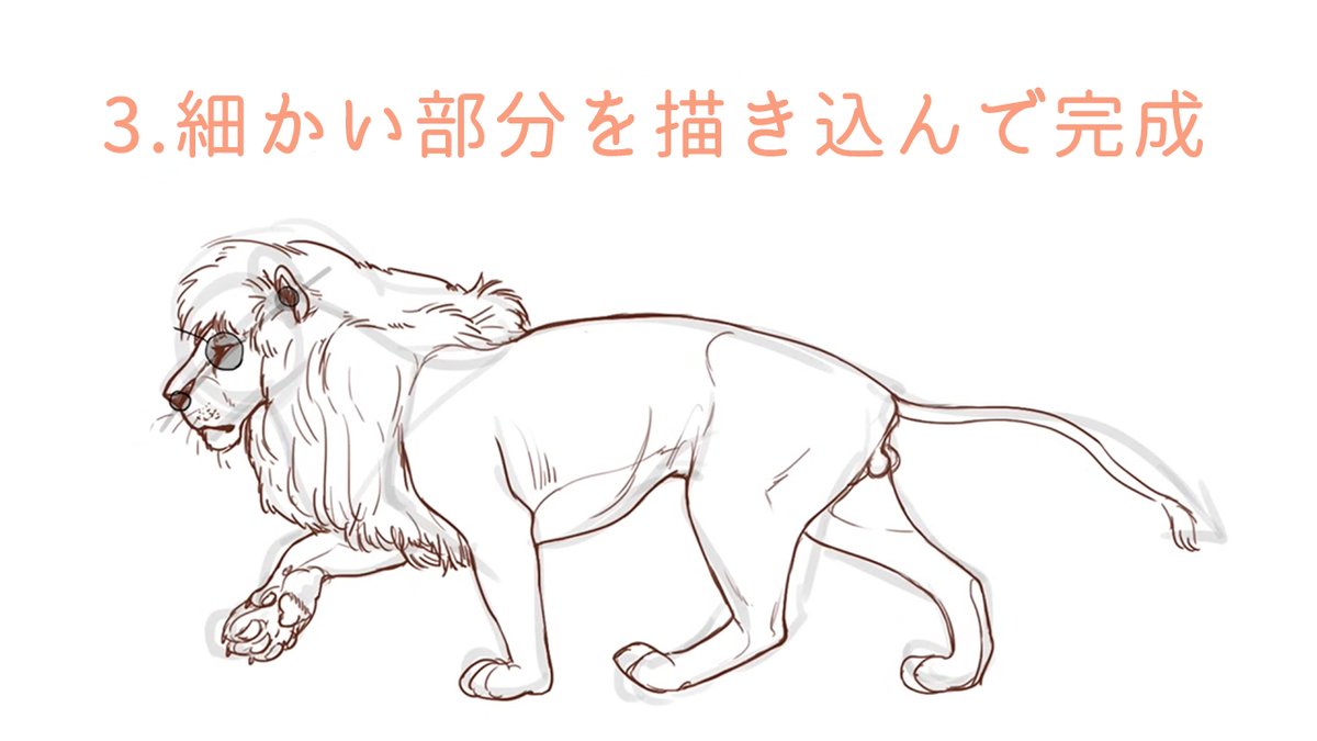 お絵かき講座パルミー 液晶ペンタブが当たるキャンペーン開催中 リアルな動物イラスト 人間と違ってどう描けばいいのかわからないですよね こみちさんのライオン イラストメイキングをご紹介します T Co U59mh04lcz T Co お絵かき講座パルミー 液晶ペンタブが当たるキャンペーン開催中 リアルな動物イラスト 人間と違ってどう描けばいいのかわからないですよね こみちさんのライオン イラストメイキングをご紹介します T Co U59mh04lcz T Co