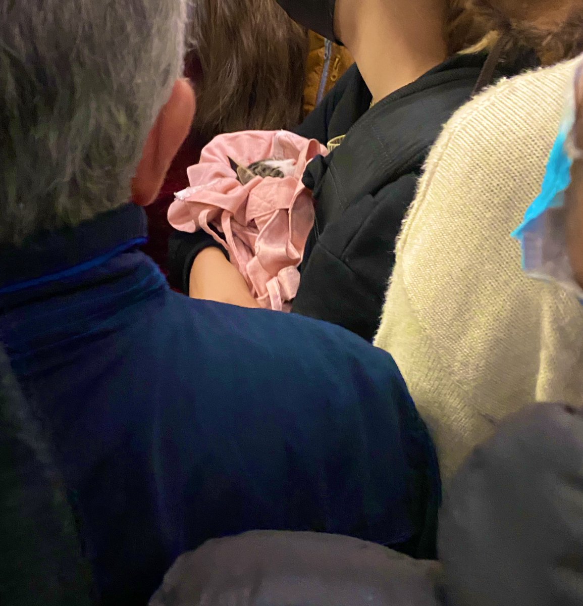 Drama queen 🌳 tweet media