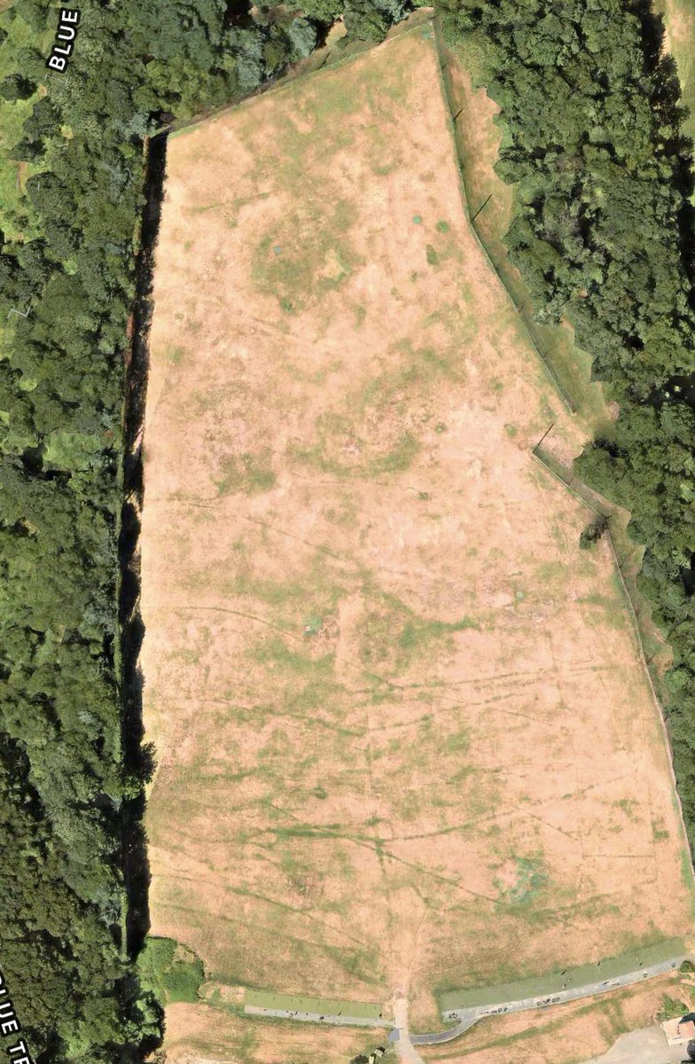 Curtis Warriors Golf tweet media