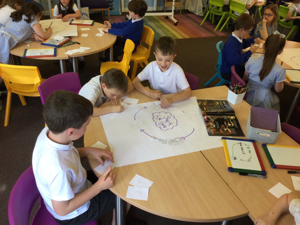 WhitegateElm tweet media