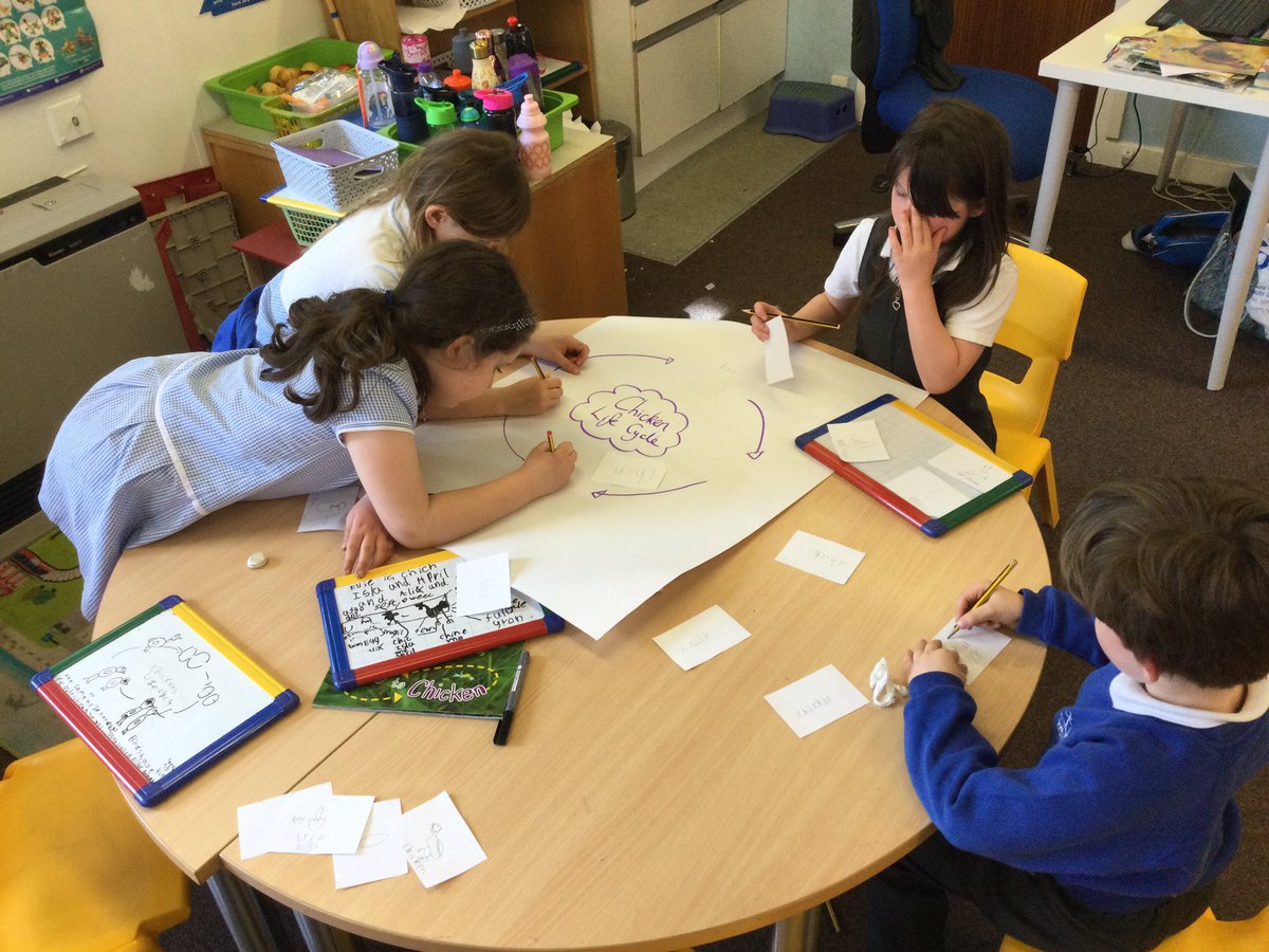 WhitegateElm tweet media