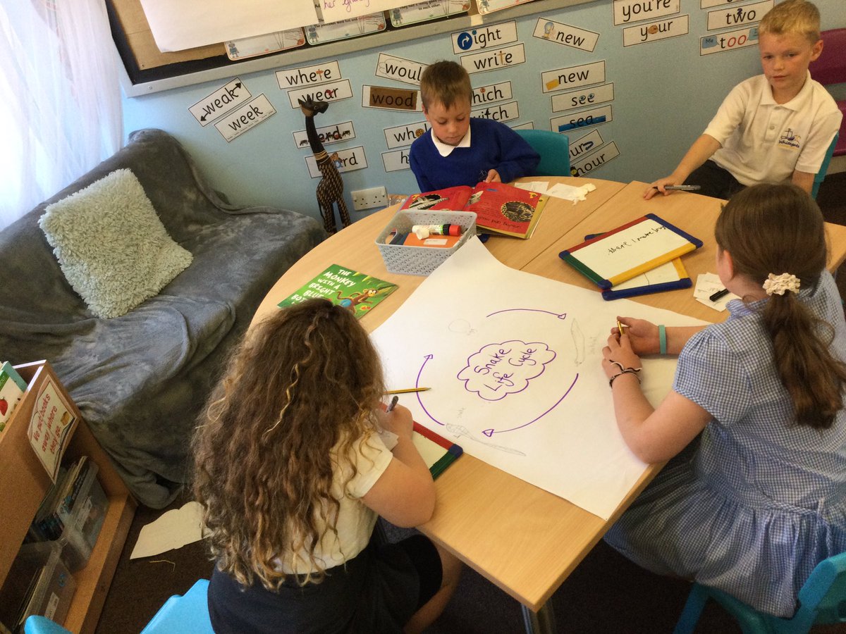 WhitegateElm tweet media