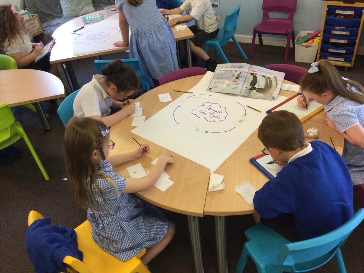 WhitegateElm tweet media