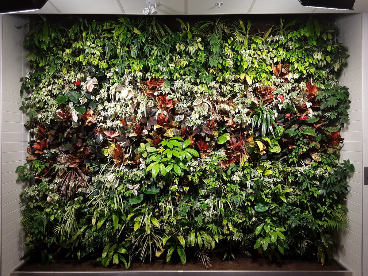 Nedlaw Group tweet media