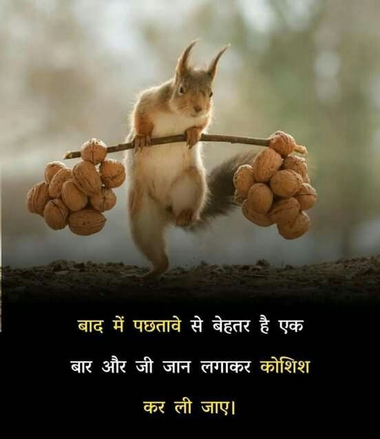 बिता हुआ कल तुम्हारे दिमाग में है
और आने वाला कल तुम्हारे हाथ में है!
#जंग_जारी_है
#छत्तीसगढ़_विद्युत_संविदा_कर्मचारियो_की_हड़ताल_जारी_है
#नियमितीकरण_विद्युत_संविदाकर्मचारी
#CG_With_विद्युतसंविदा_कर्मचारीसंघ
#लेबो_नियमितीकरण
#ChhattisgarhNews <a href="/INCChhattisgarh/">INC Chhattisgarh</a> 
<a href="/BJP4India/">BJP</a> #Striker