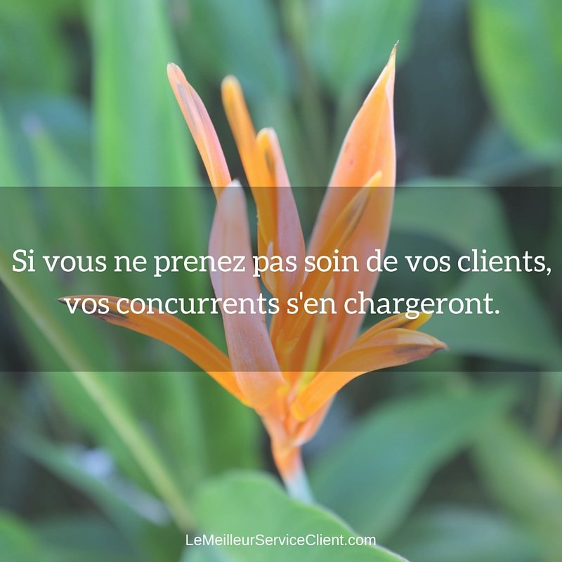MenayameNz's tweet photo. #Si vous ne prenez pas soin de vos clients, vos concurrents s’en chargeront.#
#GestionDuClient
#ExperienceClient
#ClientRoi et non l inverse. https://t.co/yGABJThcEs
