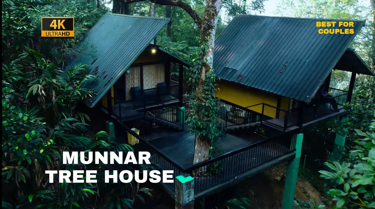 amuthus_bin's tweet photo. https://t.co/e04zgsPp8W
Munnar tree house vlig is out.
Give a view and like if you like.
#munnar #treehouse #kerala #mattupettydam #cowboypark #amuthusbin https://t.co/rCQB8yLojM