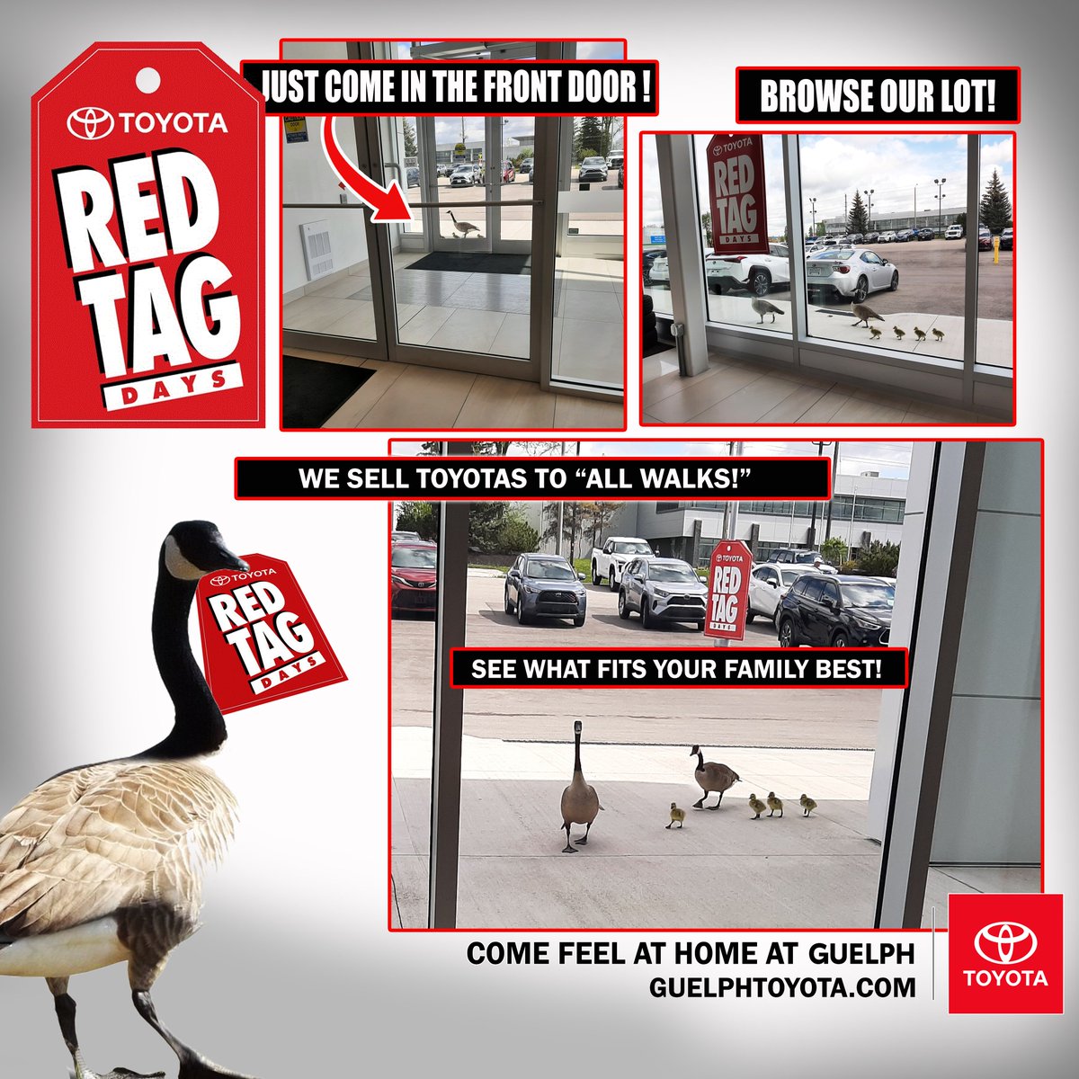 GuelphToyota's tweet photo. That's right! We sell to all walks @guelphtoyota π€£πCome by and get more information on how to get your family into a Toyota today! #guelph #TOYOTA #cardealership #local #localguelph #workfunny #canada #canadagoose #toyotacanada https://t.co/Wko5qKoNG5