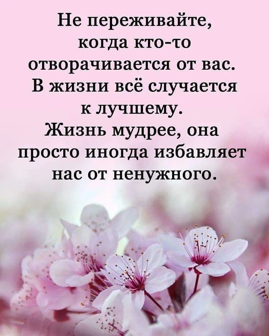 SofiPal2's tweet photo. 🌿🌸🌿🌸🌿 https://t.co/n0AddjLoOa