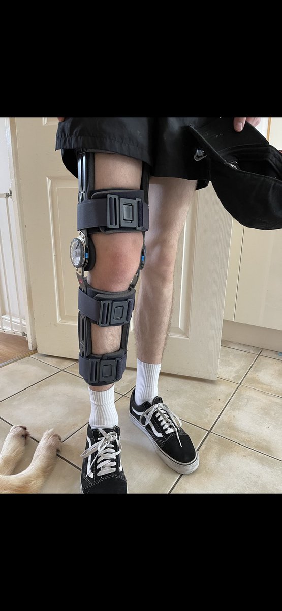 Brian Little tweet media