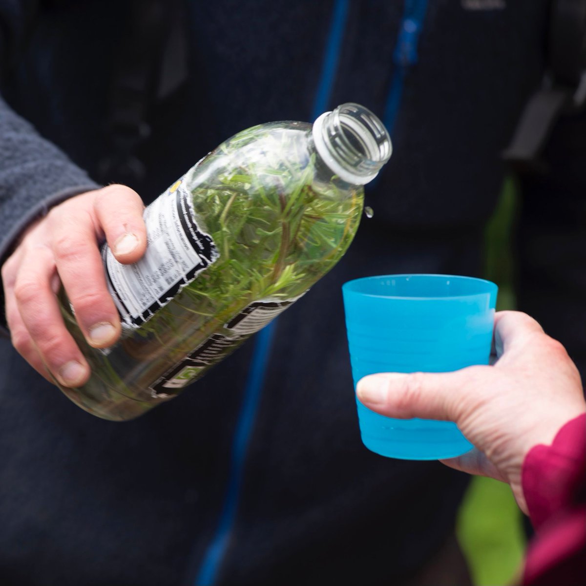 ArtlinkEdin's tweet photo. Expert forager Chris Macefield showed us that there’s a wealth of edible (and not so edible) plantlife all around us during our walk around the grounds of the Howden Park Centre.
#fifthexit #foragingwalk https://t.co/y68qROmi4P