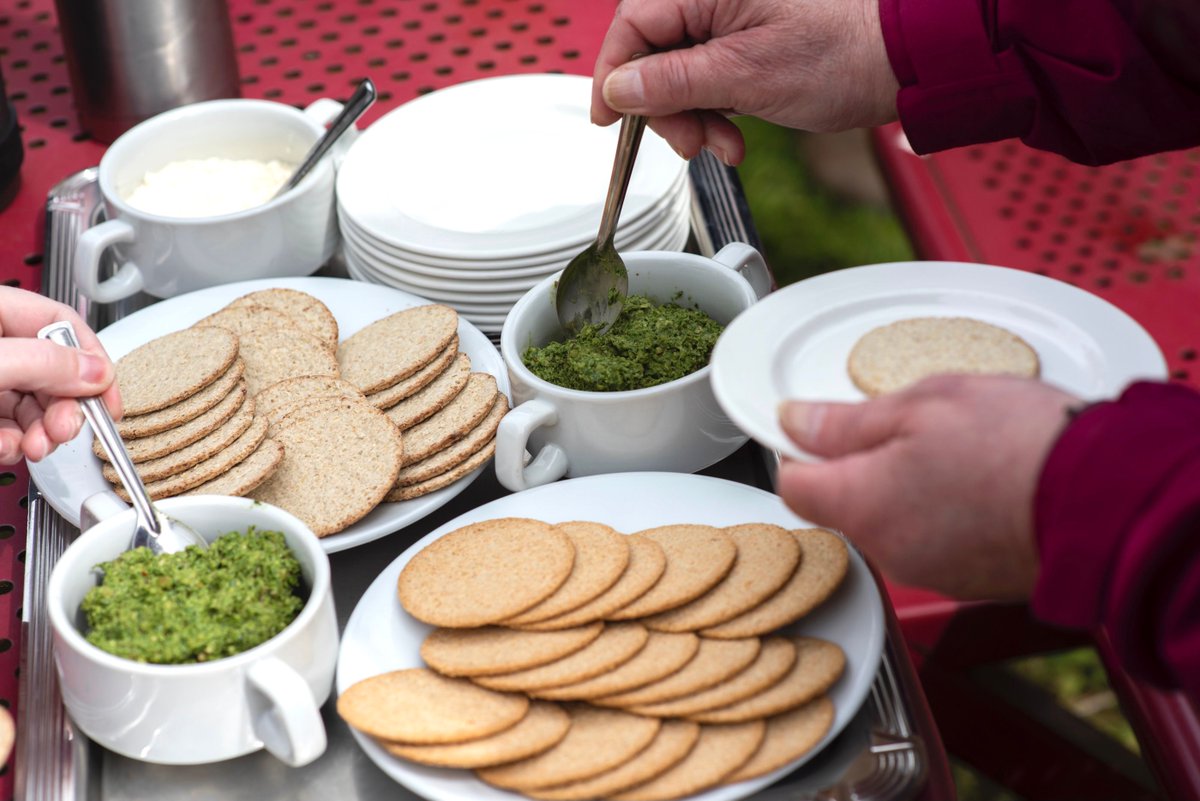 ArtlinkEdin's tweet photo. Expert forager Chris Macefield showed us that there’s a wealth of edible (and not so edible) plantlife all around us during our walk around the grounds of the Howden Park Centre.
#fifthexit #foragingwalk https://t.co/y68qROmi4P