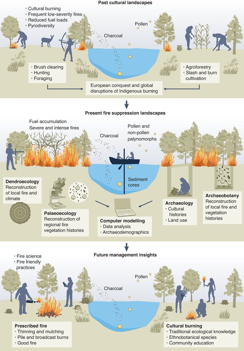 RT @NatureEcoEvo: A collaborative agenda for archaeology and fire science https://t.co/Vbmnc1mT3x https://t.co/09XFHxE3LY