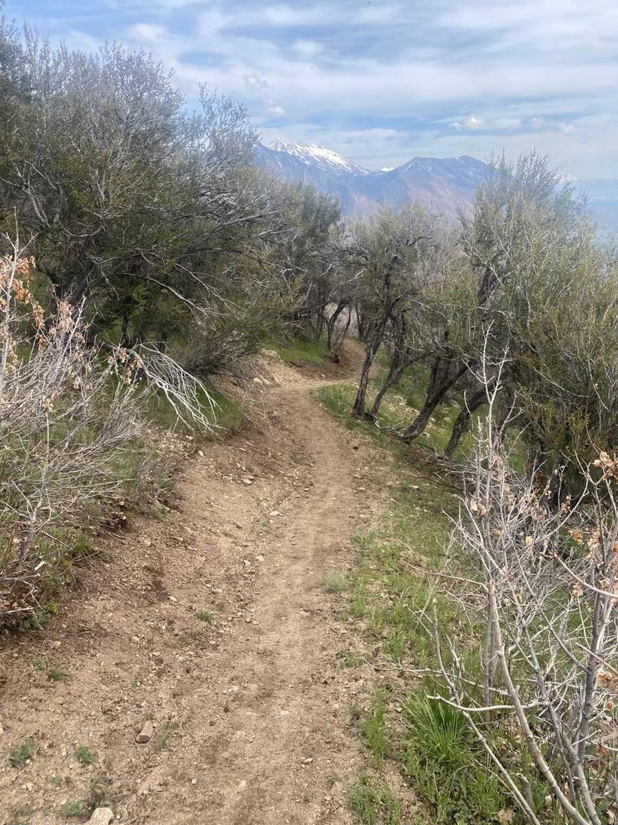 SLClimbers's tweet photo. The upper Jacob’s Ladder trail realignment to Lone Peak Cirque has begun again for the season. Welcome back to our trail contractor, Single Tracks Trails. Thanks to Draper City Trails and Open Space and the USFS for supporting the project. More info here: https://t.co/A0PTb4xj0O https://t.co/Q5OlqlXEkn