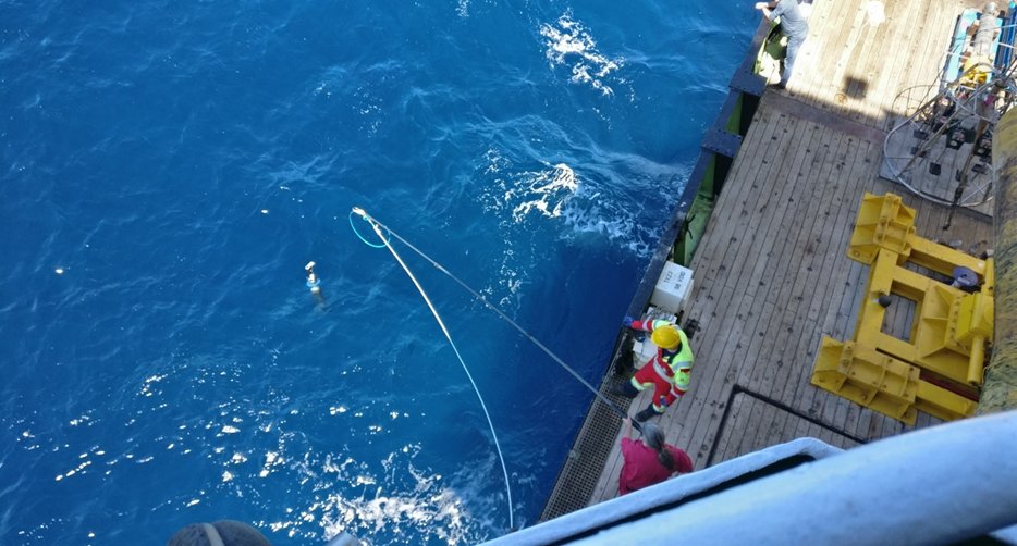 PAP_observatory's tweet photo. Thanks to efforts of everyone on #JC231 a bio-Argo float was recovered. Could you spot the float? It would be even harder in the current sea conditions!
@NOCnews; @CLASS_UKRI; @EMSOeu; @AndyRGates; @AAiFADO; @metoffice; @OTCCO2; @EU_AtlantECO; @MinkeProject; @bgc_argo https://t.co/DqyyA2dY7m
