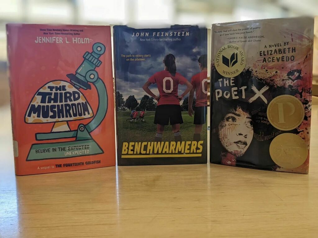 LibraryPoco's tweet image. A glimpse at the new middle school and Y.A. titles.

Feel free to come in if you see something you want to read. instagr.am/p/CdqQFDuuWsE/