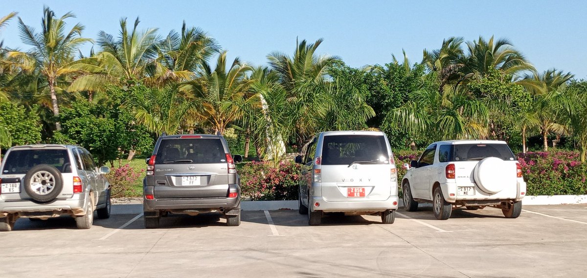 Moussam55979561's tweet photo. @Adventure_36 Hyo Prado na Alphard leo zimegoma kupiga ndima.. https://t.co/dQifgnvujv