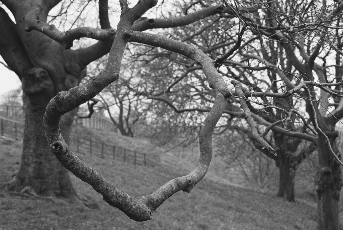 DANewell's tweet photo. An imperfect circle

#35mm #blackandwhite #film #photography #Greenwich #London https://t.co/TcYKO8ej0x
