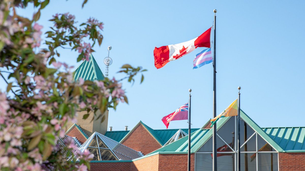 PeelSchools's tweet image. Today on the International Day against Homophobia,Transphobia &amp;amp; Biphobia, we raise the Transgender Pride flag. Let’s stand together to end the stigma and discrimination faced by the 2SLGBTQ+ community members—in Peel and beyond. Everyone matters. Every day.