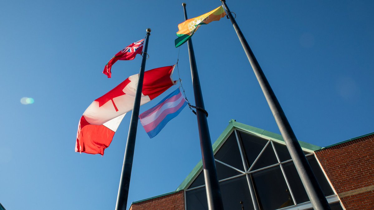 PeelSchools's tweet image. Today on the International Day against Homophobia,Transphobia &amp;amp; Biphobia, we raise the Transgender Pride flag. Let’s stand together to end the stigma and discrimination faced by the 2SLGBTQ+ community members—in Peel and beyond. Everyone matters. Every day.